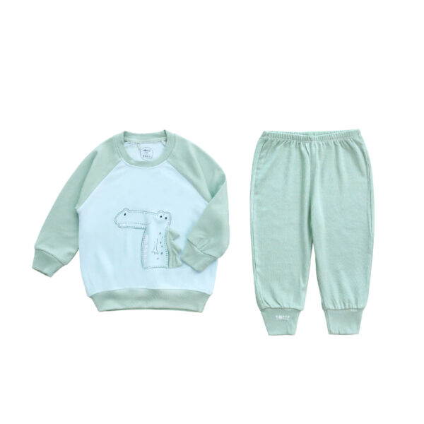 Mint color dinosaur clothing set for kids