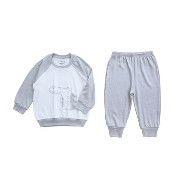 White color dinosaur clothing set for kids